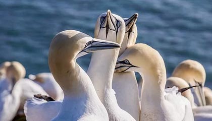 九游体育官方网站-年轻车坛新星：梦想之路的辛酸与坚持